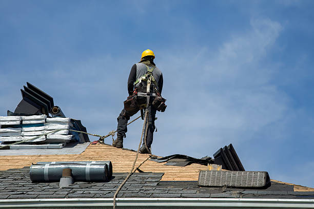 Professional Storm Damage Roof Repair technician working in Perry, FL